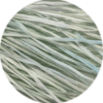 1042 Mint | Straw Silk