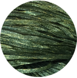 0422 Prickly Stick | Straw Silk