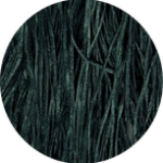 0423 Peacock | Straw Silk