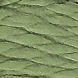 173 Fennel | Planet Earth Silk