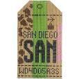 San Diego Luggage Tag (by Hedgehog Needlepoint)