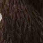 C-113 Chocolate | Vineyard Silk