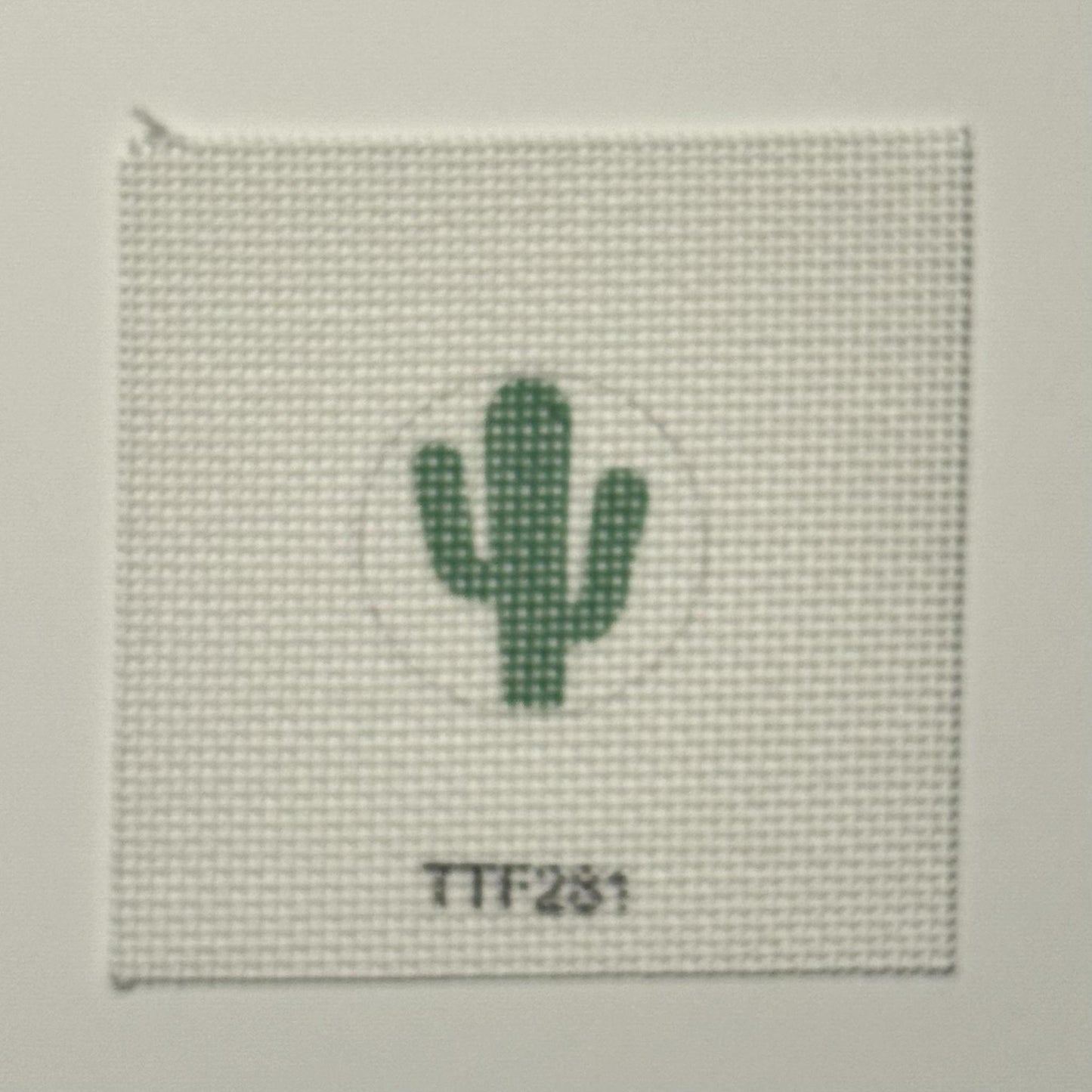 Cactus Insert (by Tilli Tomas)