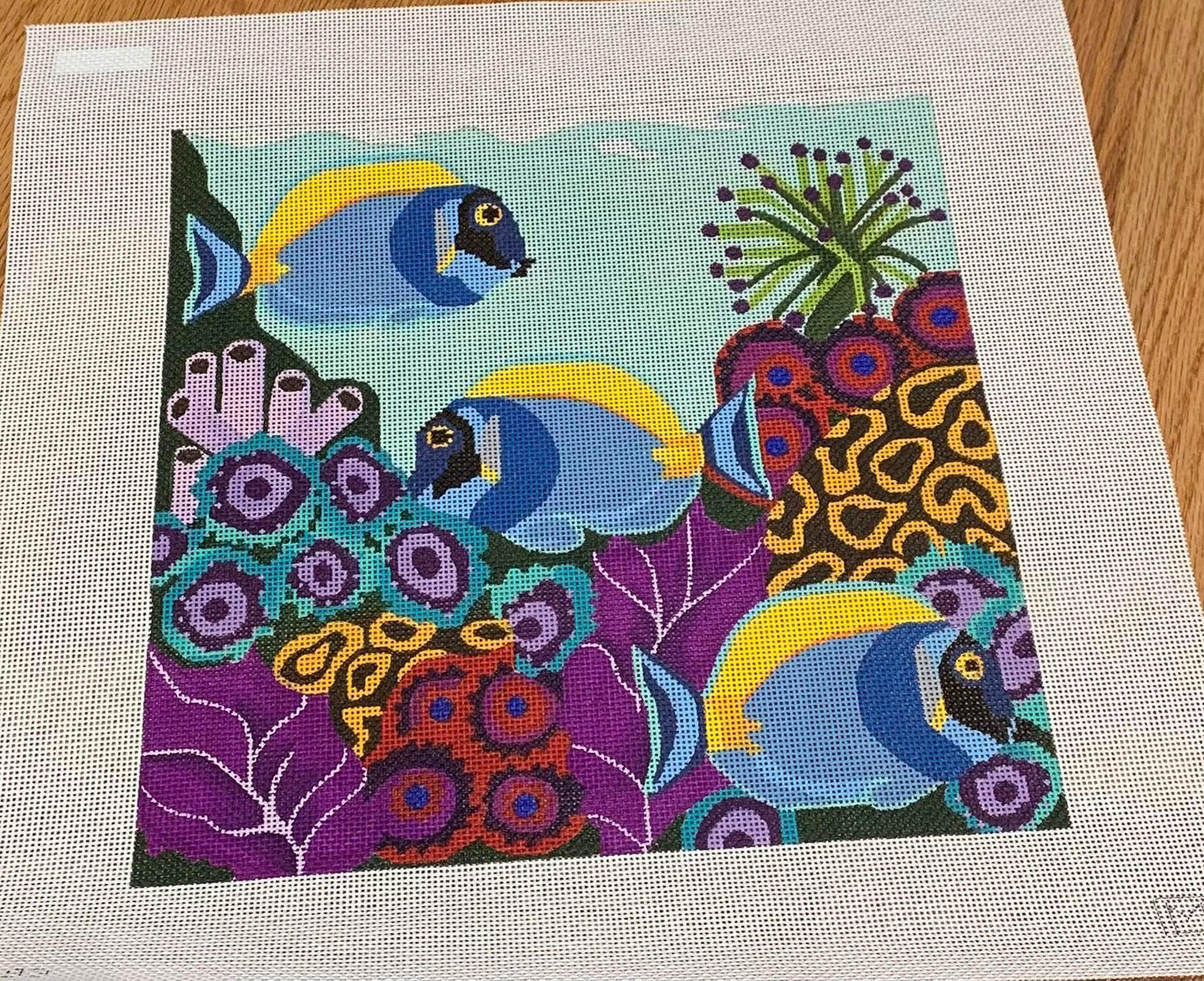 Tangs in Reef  (by Melissa Prince) B-393