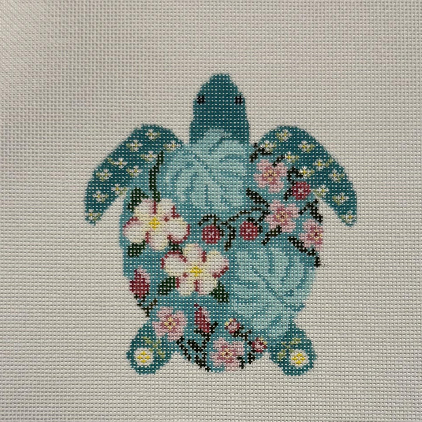 Tilly the Turtle (by Rachel Barri)