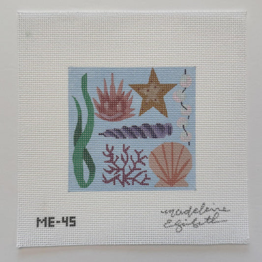 Ocean Floor