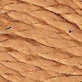 019 Sooth | Planet Earth Silk