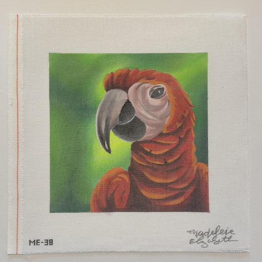 Rick the Red Parrot