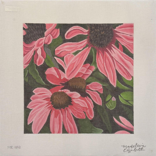 Pink Coneflowers