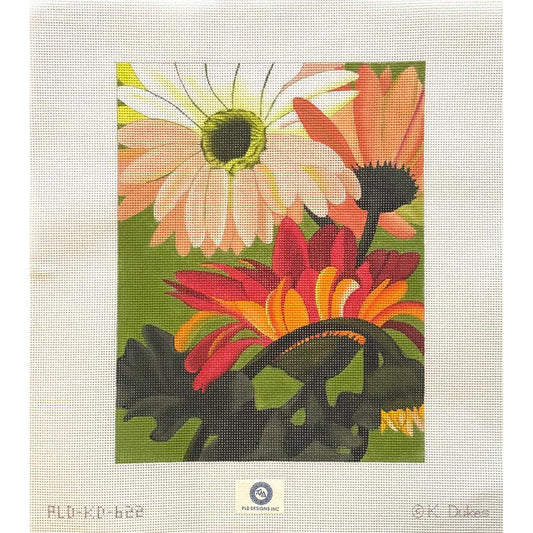 Coral Daisies (by PLD)