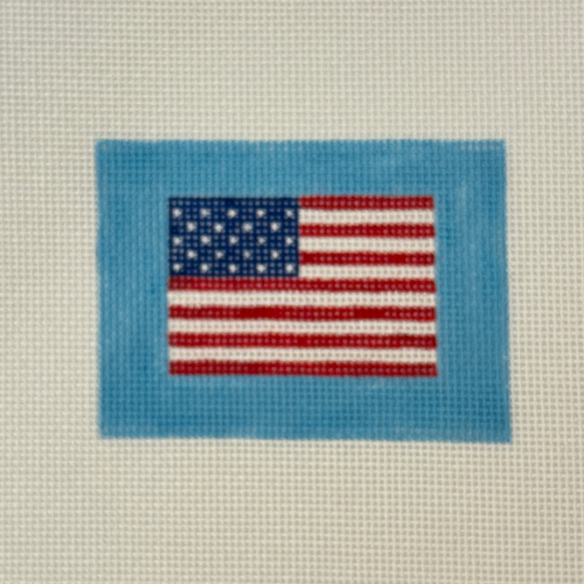 American Flag on Sky - Insert (by Kate Dickerson)