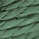 205 Zucchini | Planet Earth Silk