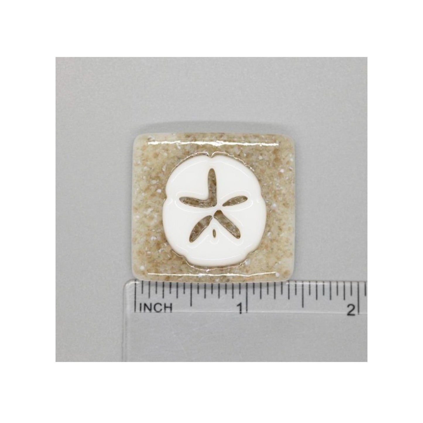 Sand Dollar (Fused Glass) needle minder