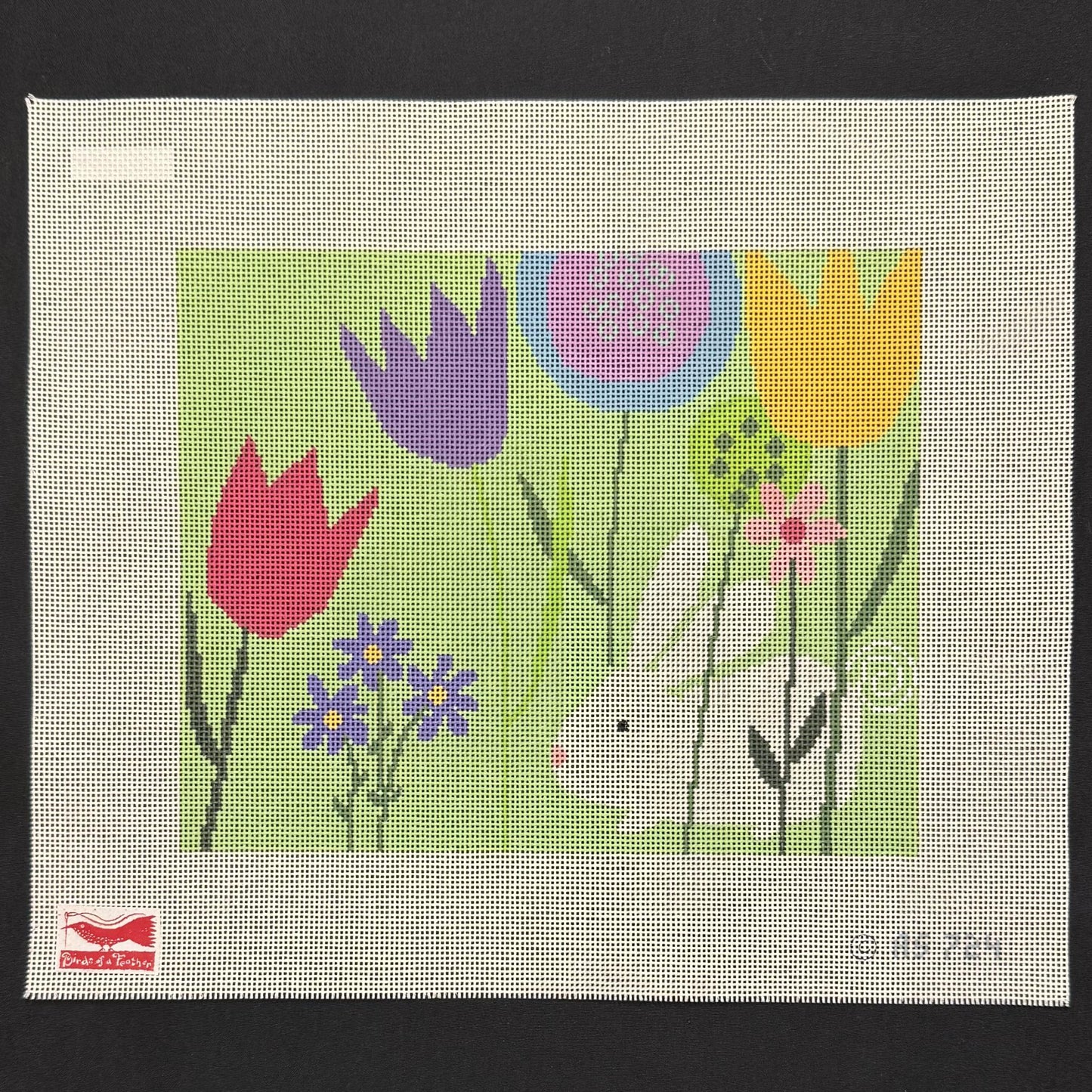 White Rabbit (by Birds of a Feather)