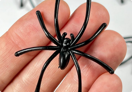 Black Spider w/ Long Legs