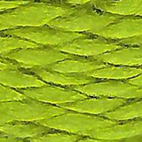 052 Lettuce | Planet Earth Silk