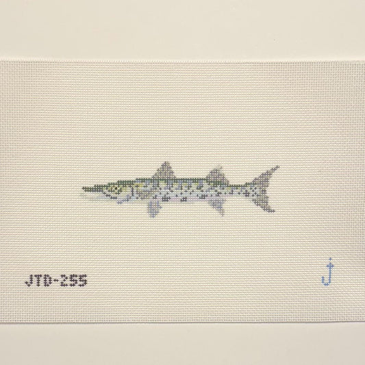 Baracuda (by Jessica Tongel)